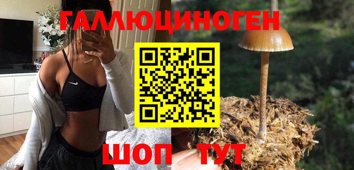 Псилоцибиновые грибы MAGIC MUSHROOMS Воскресенск