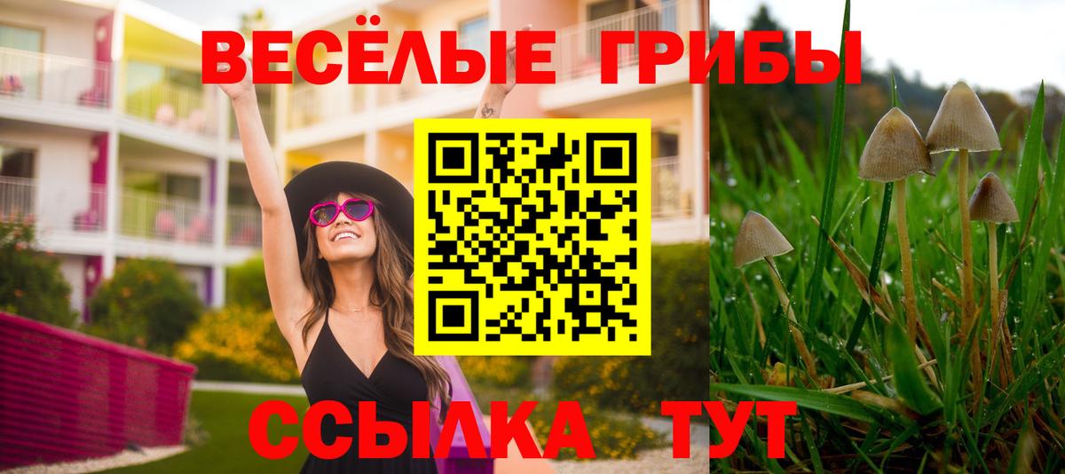 Воскресенск  купить закладку  Галлюциногенные грибы Magic Shrooms  Вход с VPN  Галлюциногенные грибы ЛСД 